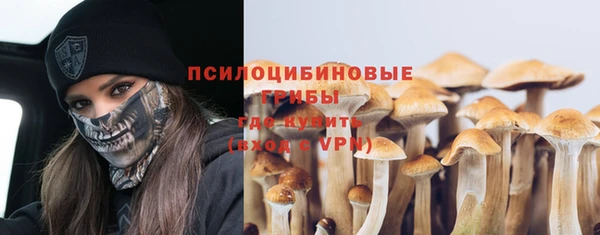 соль ск Балахна